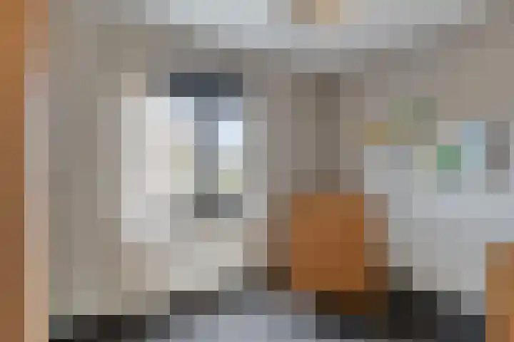 Nachtegaalstraat 3 Mill thumbnail 15