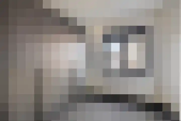 Nachtegaalstraat 3 Mill thumbnail 16