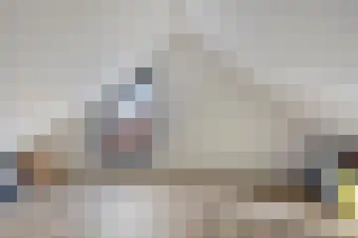 Nachtegaalstraat 3 Mill thumbnail 25