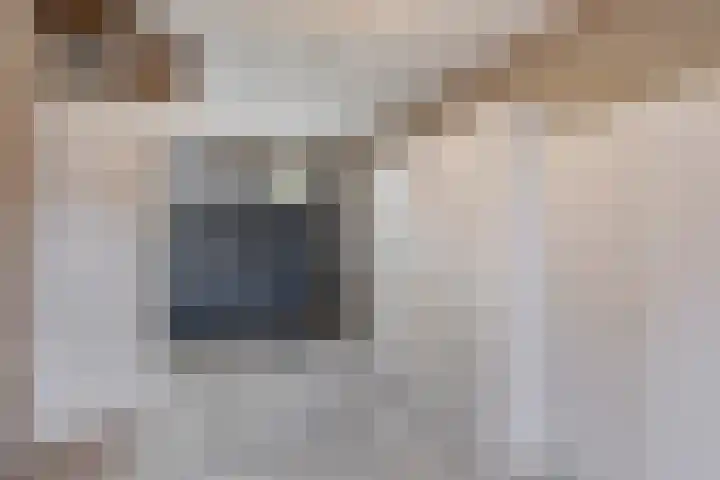 Nachtegaalstraat 3 Mill thumbnail 26