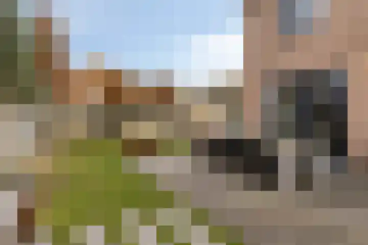 Nachtegaalstraat 3 Mill thumbnail 29