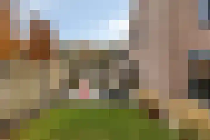 Nachtegaalstraat 3 Mill thumbnail 30