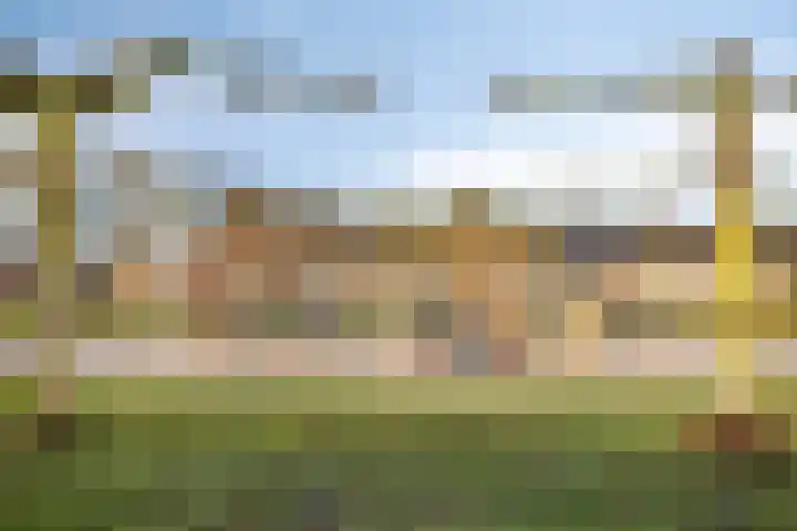 Nachtegaalstraat 3 Mill thumbnail 33