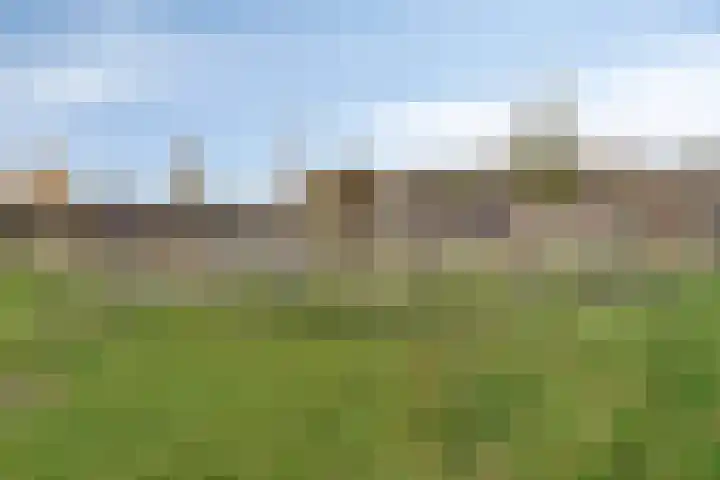 Nachtegaalstraat 3 Mill thumbnail 34