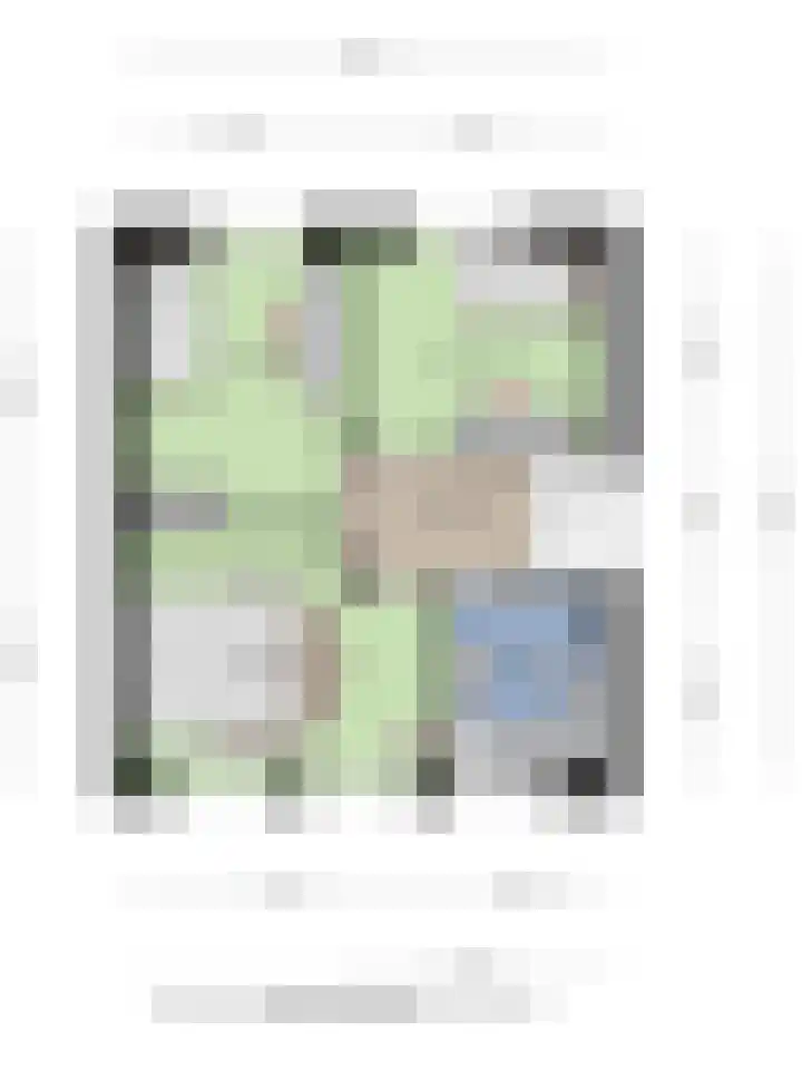 Nachtegaalstraat 3 Mill thumbnail 36