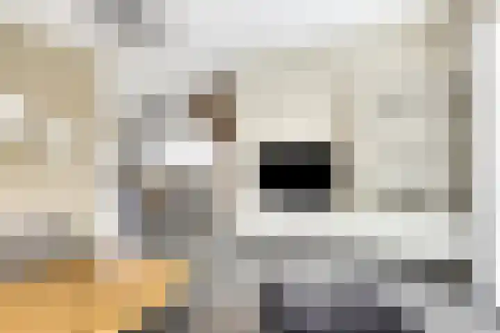 Nachtegaalstraat 3 Mill thumbnail 4