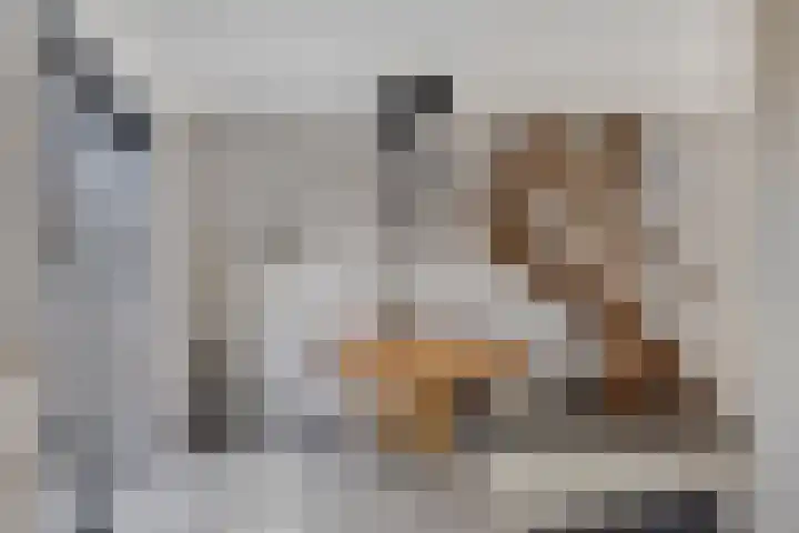 Nachtegaalstraat 3 Mill thumbnail 5