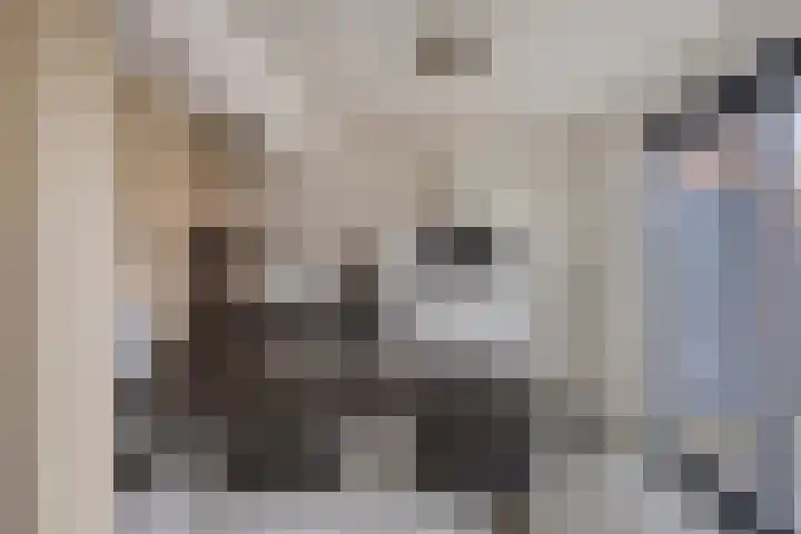 Nachtegaalstraat 3 Mill thumbnail 8