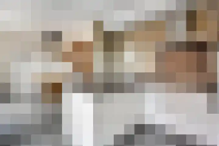 Nachtegaalstraat 3 Mill thumbnail 9