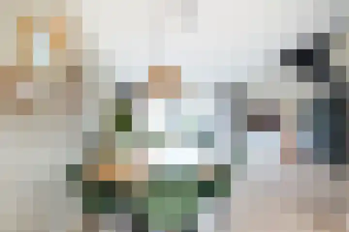 Nachtegaalstraat 30 Heerhugowaard thumbnail 16