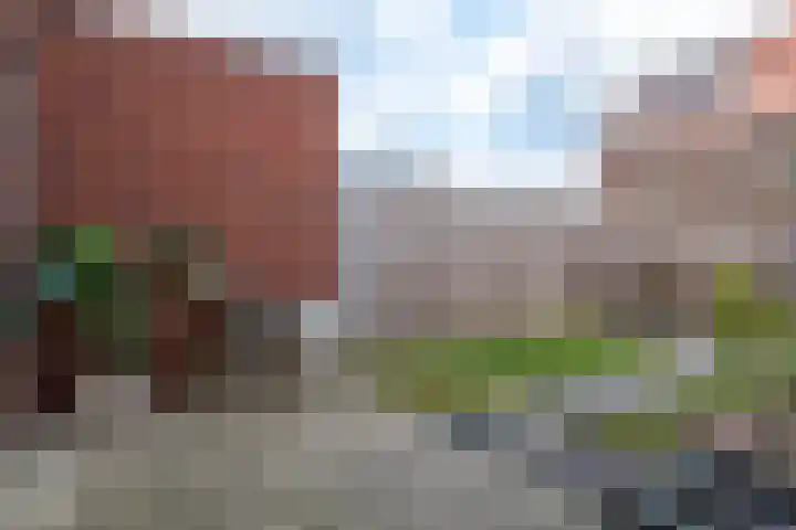 Nachtegaalstraat 30 Heerhugowaard thumbnail 18