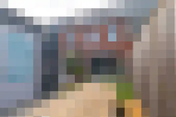 Nachtegaalstraat 30 Heerhugowaard thumbnail 21