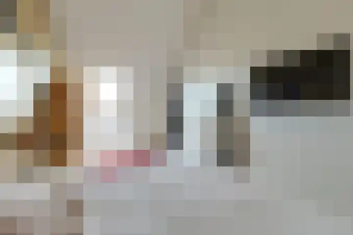 Nachtegaalstraat 30 Heerhugowaard thumbnail 39