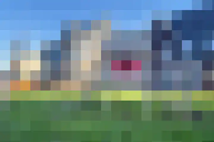Nachtegaalstraat 30 Heerhugowaard thumbnail 48