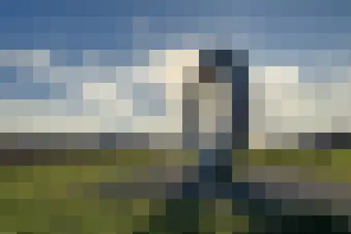 Nachtegaalstraat 30 Heerhugowaard thumbnail 52