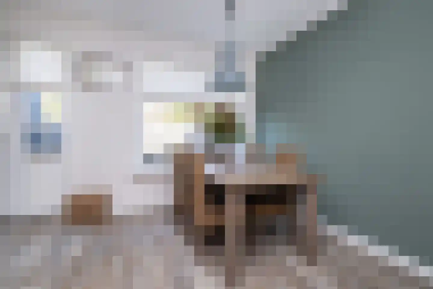 Nachtegaalstraat 30 Sommelsdijk thumbnail 10