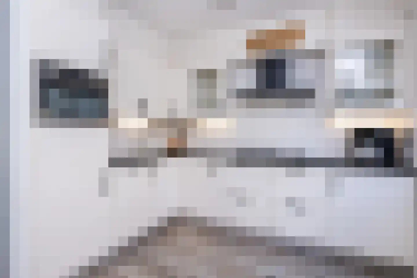 Nachtegaalstraat 30 Sommelsdijk thumbnail 12
