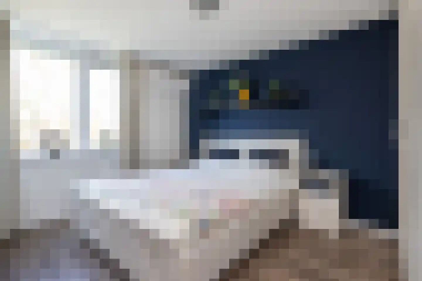 Nachtegaalstraat 30 Sommelsdijk thumbnail 15