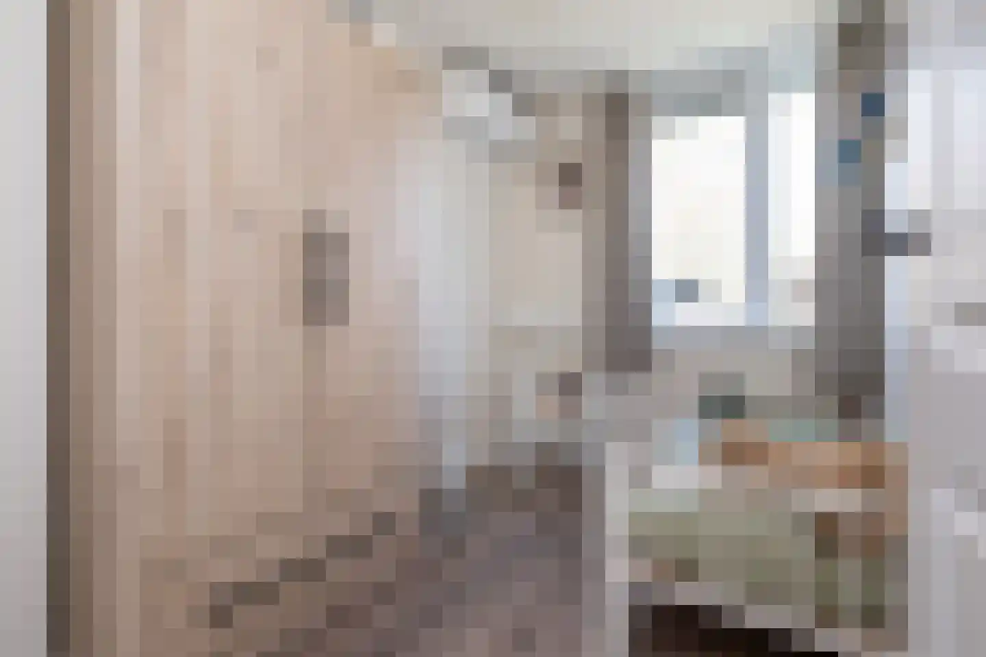Nachtegaalstraat 30 Sommelsdijk thumbnail 16