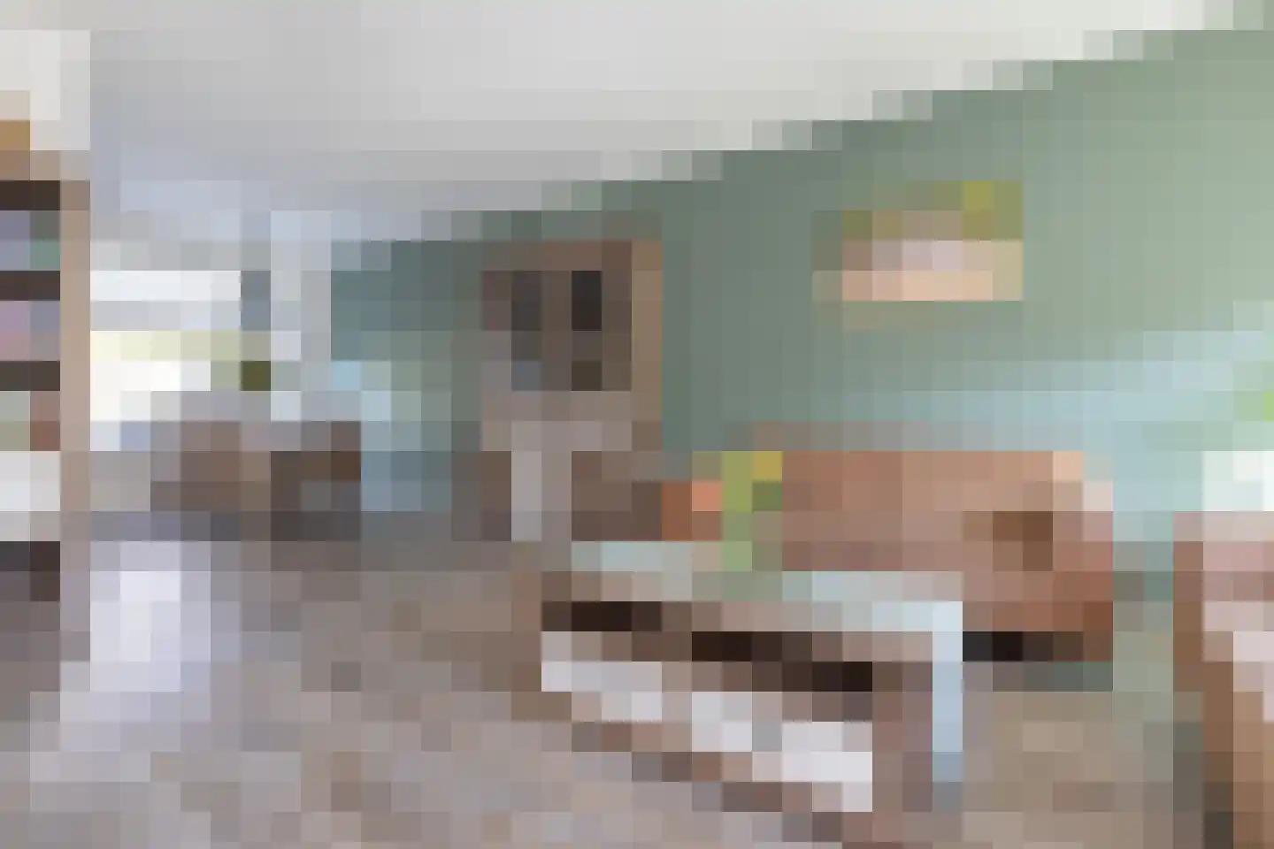 Nachtegaalstraat 30 Sommelsdijk thumbnail 8