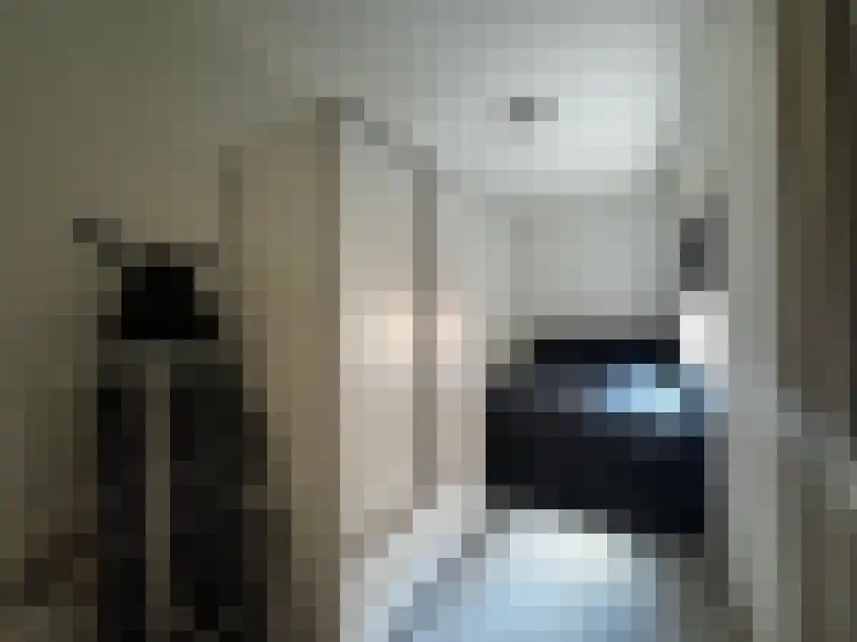 Nachtegaalstraat 31 Zwolle thumbnail 4