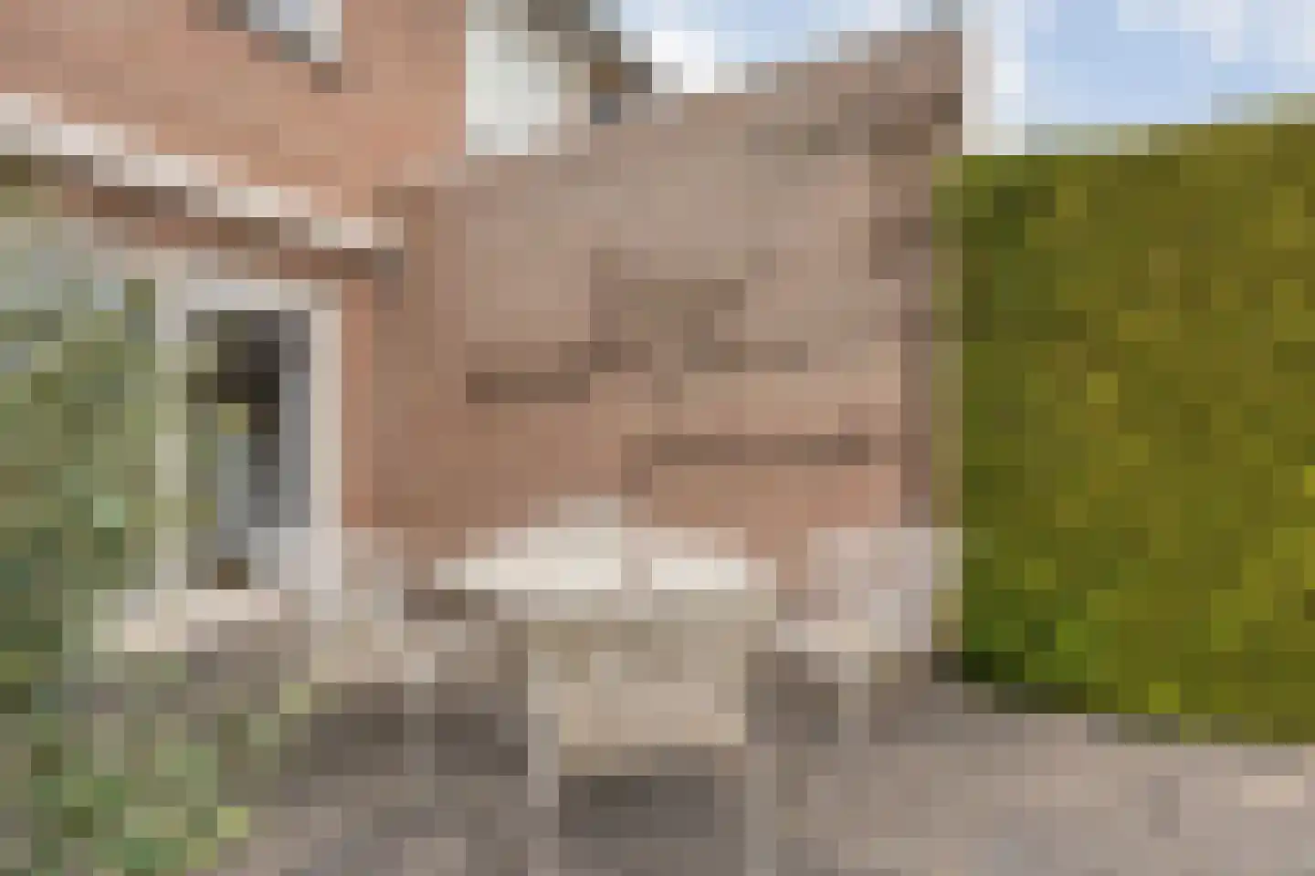 Nachtegaalstraat 32 Haaksbergen thumbnail 31