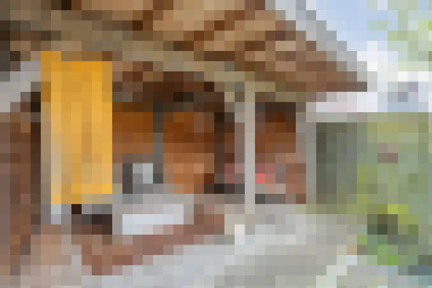 Nachtegaalstraat 32 Haaksbergen thumbnail 34