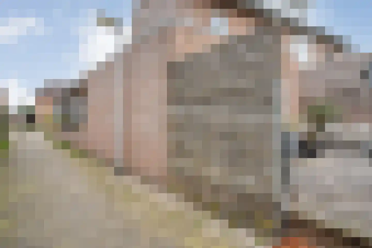 Nachtegaalstraat 32 Haaksbergen thumbnail 38