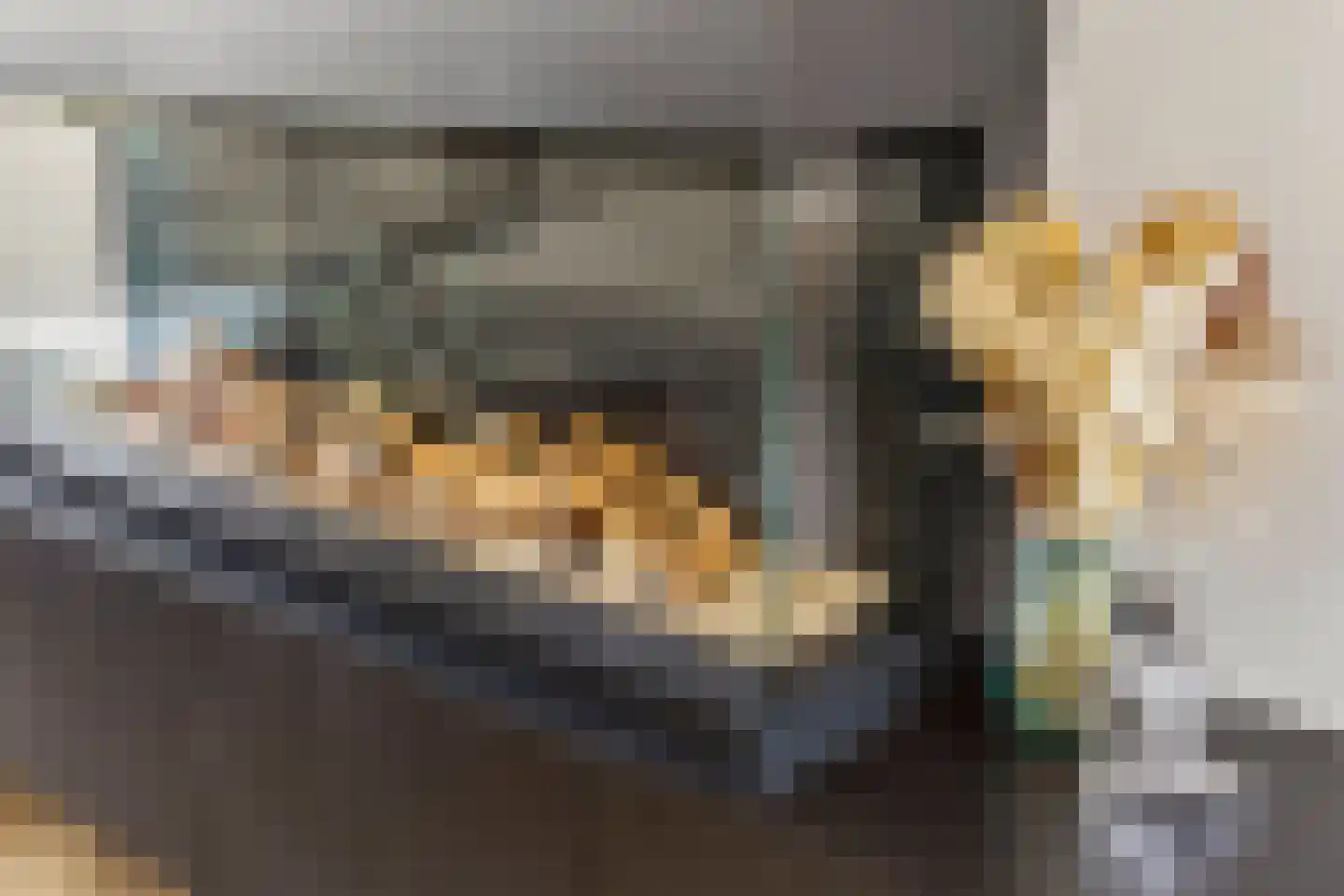 Nachtegaalstraat 32 Wijchen thumbnail 11