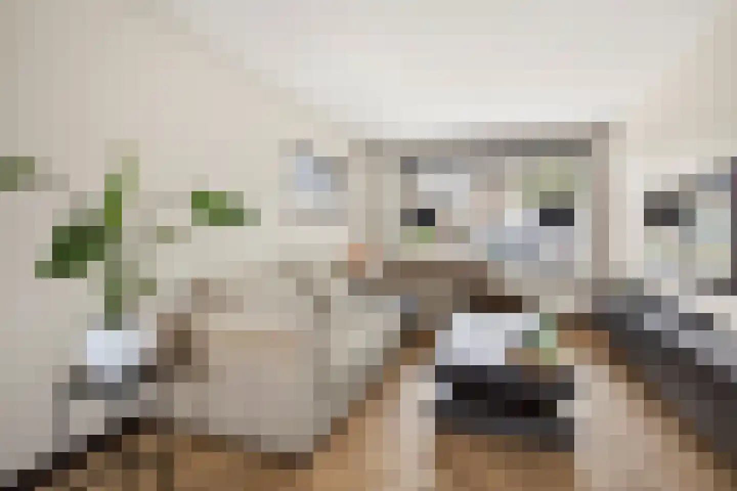 Nachtegaalstraat 32 Wijchen thumbnail 12