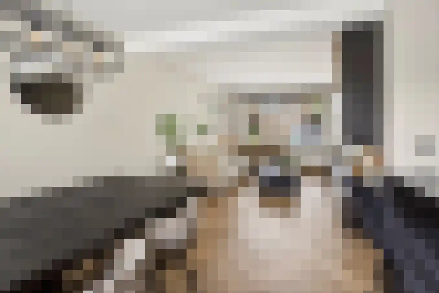 Nachtegaalstraat 32 Wijchen thumbnail 13