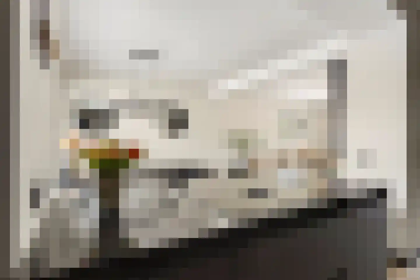 Nachtegaalstraat 32 Wijchen thumbnail 15