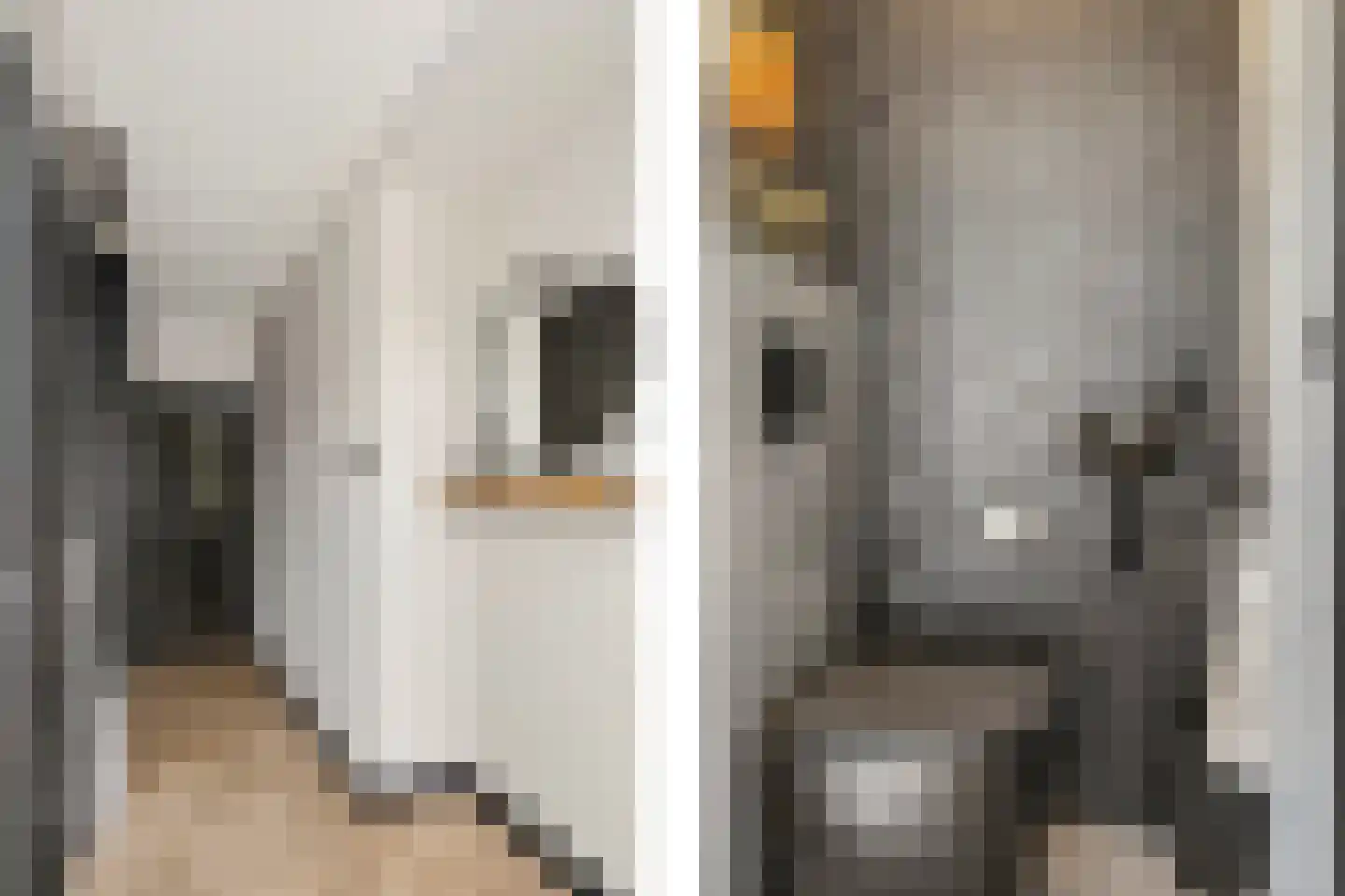 Nachtegaalstraat 32 Wijchen thumbnail 18