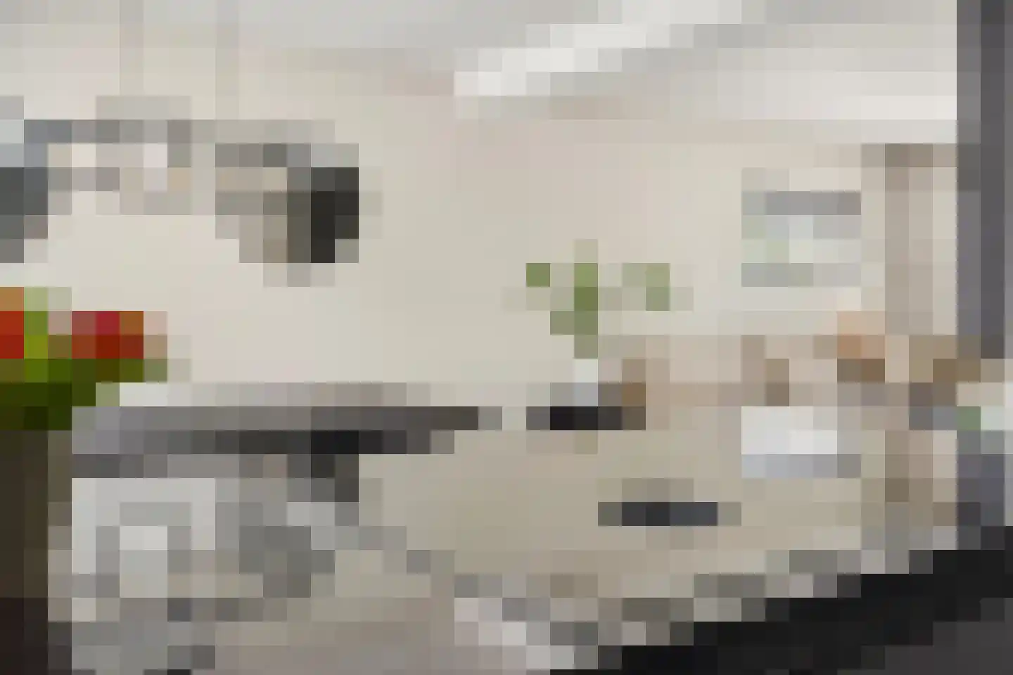 Nachtegaalstraat 32 Wijchen thumbnail 9