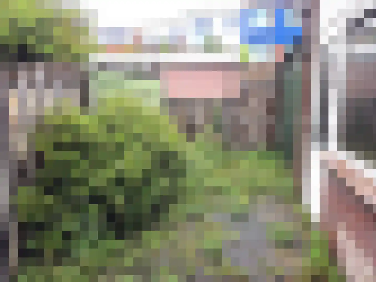 Nachtegaalstraat 33 Haarlem thumbnail 6
