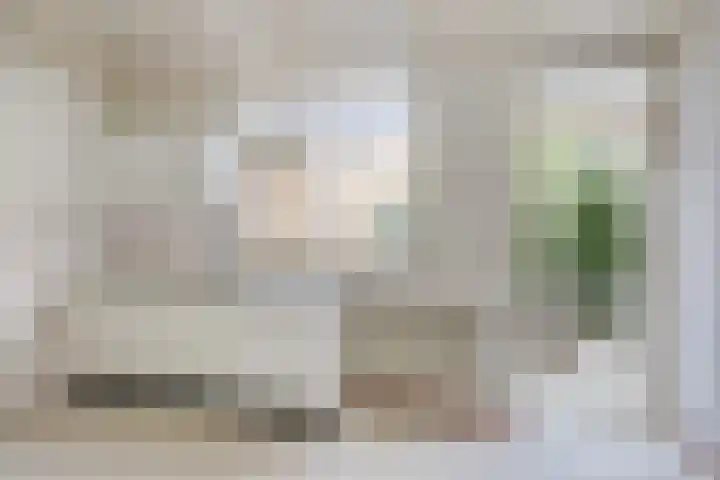 Nachtegaalstraat 35 Amsterdam thumbnail 12