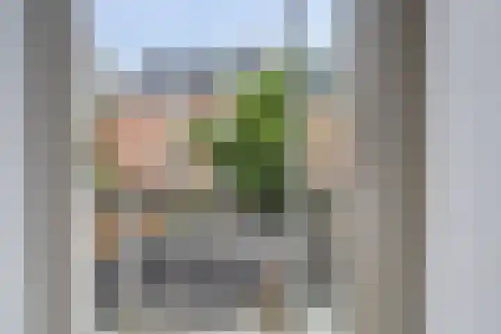 Nachtegaalstraat 35 Amsterdam thumbnail 36