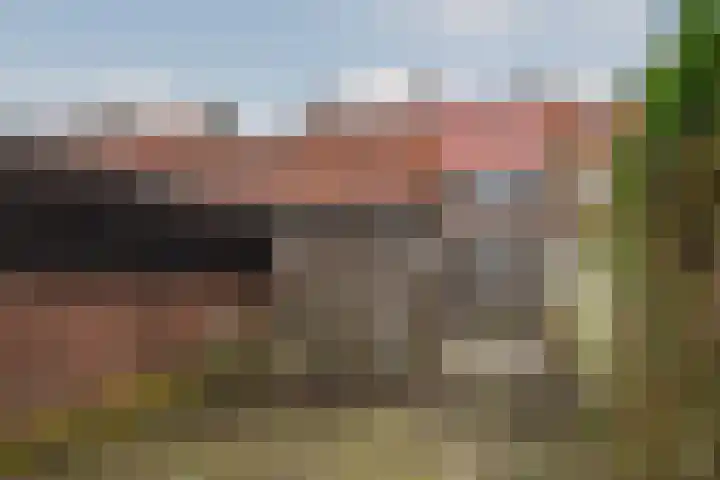 Nachtegaalstraat 36 Tegelen thumbnail 22