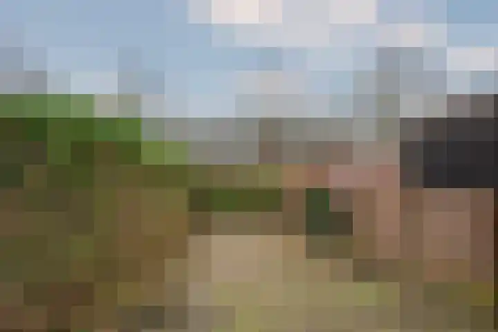 Nachtegaalstraat 36 Tegelen thumbnail 25