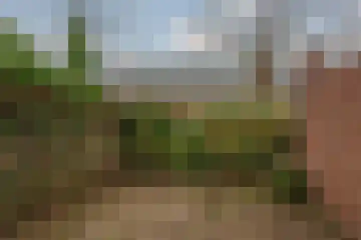 Nachtegaalstraat 36 Tegelen thumbnail 26