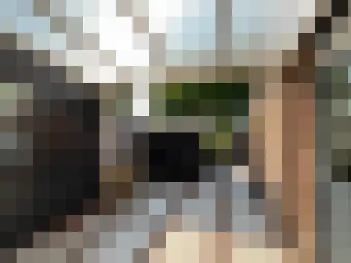 Nachtegaalstraat 39 Middenbeemster thumbnail 19