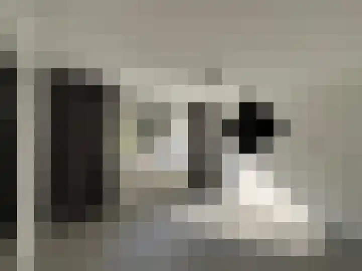 Nachtegaalstraat 39 Middenbeemster thumbnail 31
