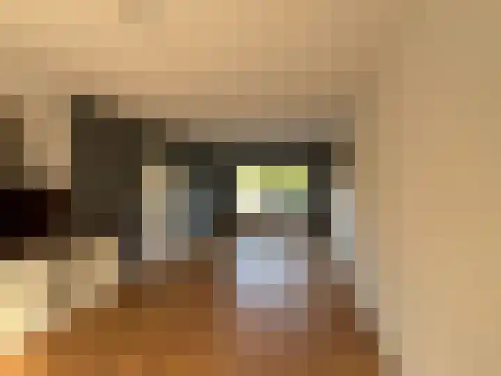Nachtegaalstraat 39 Middenbeemster thumbnail 4