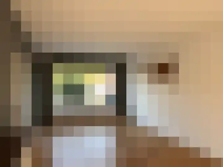 Nachtegaalstraat 39 Middenbeemster thumbnail 6