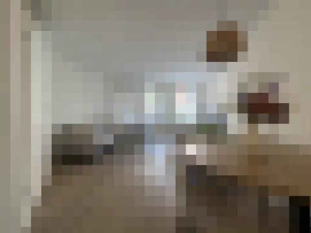 Nachtegaalstraat 39 Zwolle thumbnail 4