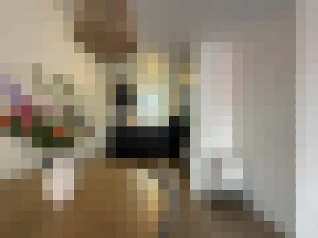 Nachtegaalstraat 39 Zwolle thumbnail 5