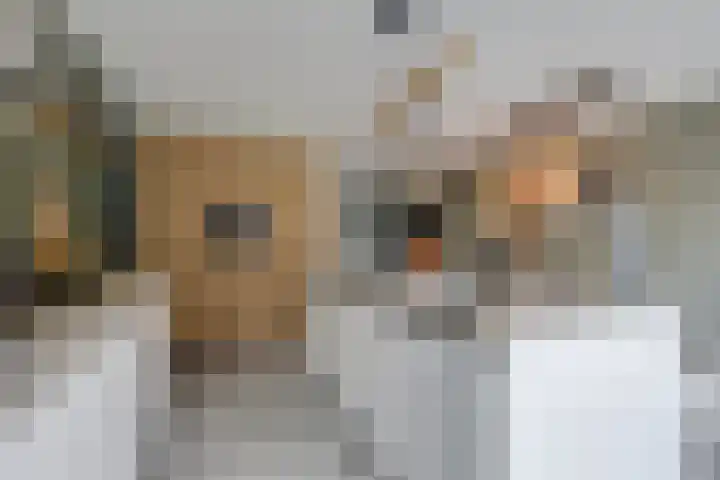 Nachtegaalstraat 4 Gaanderen thumbnail 17