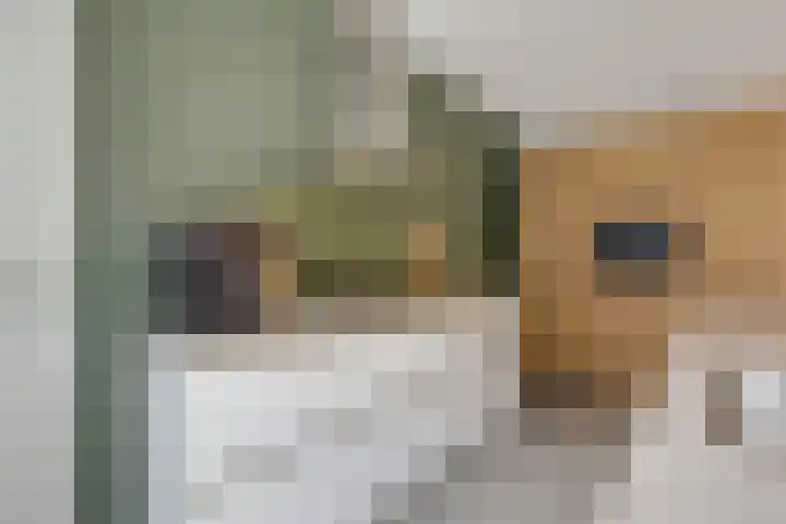 Nachtegaalstraat 4 Gaanderen thumbnail 18