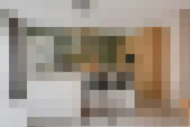 Nachtegaalstraat 4 Gaanderen thumbnail 20