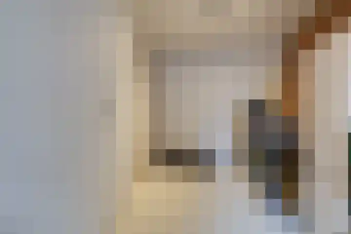 Nachtegaalstraat 4 Gaanderen thumbnail 21